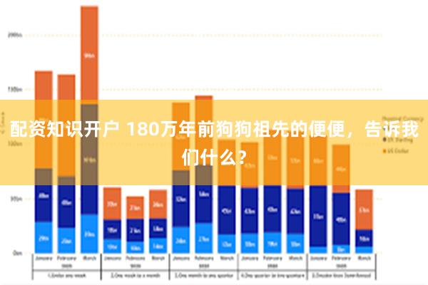 配资知识开户 180万年前狗狗祖先的便便，告诉我们什么？