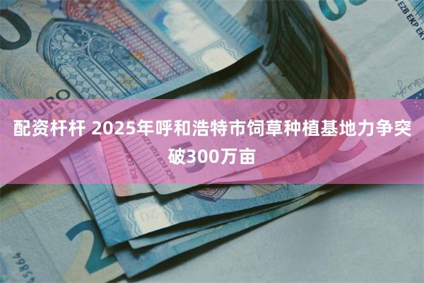 配资杆杆 2025年呼和浩特市饲草种植基地力争突破300万亩