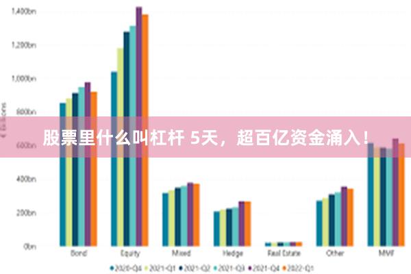 股票里什么叫杠杆 5天，超百亿资金涌入！