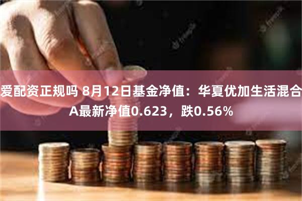 爱配资正规吗 8月12日基金净值：华夏优加生活混合A最新净值0.623，跌0.56%