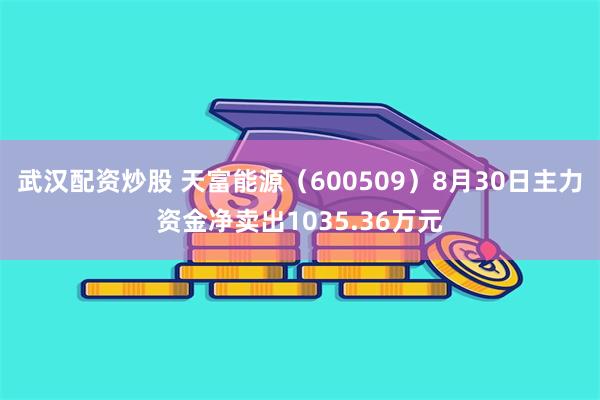 武汉配资炒股 天富能源（600509）8月30日主力资金净卖出1035.36万元