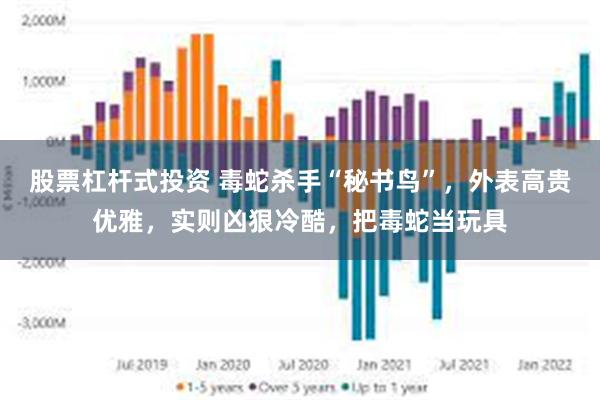 股票杠杆式投资 毒蛇杀手“秘书鸟”，外表高贵优雅，实则凶狠冷酷，把毒蛇当玩具