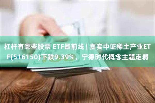 杠杆有哪些股票 ETF最前线 | 嘉实中证稀土产业ETF(516150)下跌9.39%，宁德时代概念主题走弱