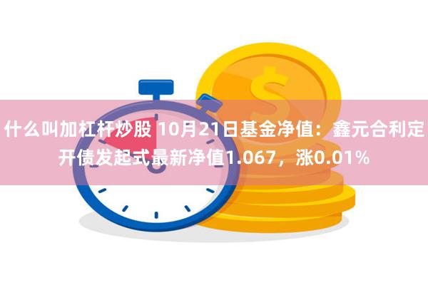 什么叫加杠杆炒股 10月21日基金净值：鑫元合利定开债发起式最新净值1.067，涨0.01%