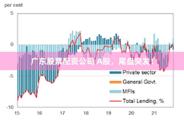 广东股票配资公司 A股，尾盘突发！