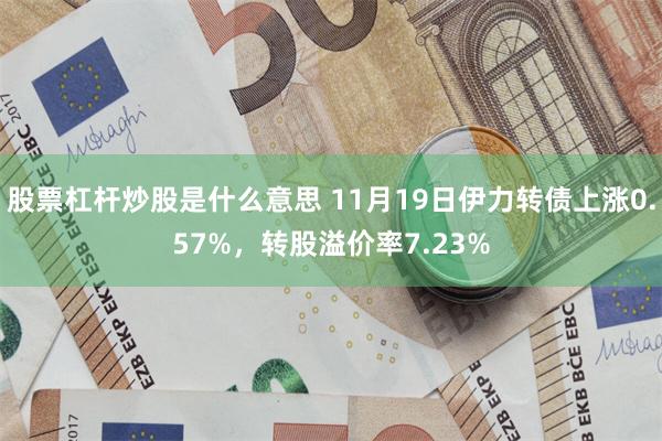 股票杠杆炒股是什么意思 11月19日伊力转债上涨0.57%，转股溢价率7.23%