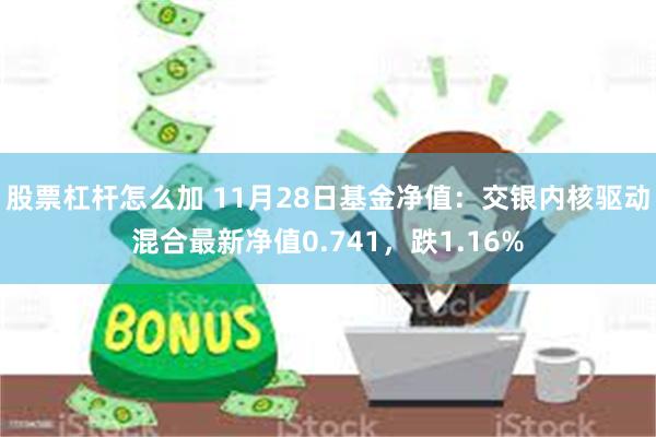 股票杠杆怎么加 11月28日基金净值：交银内核驱动混合最新净值0.741，跌1.16%