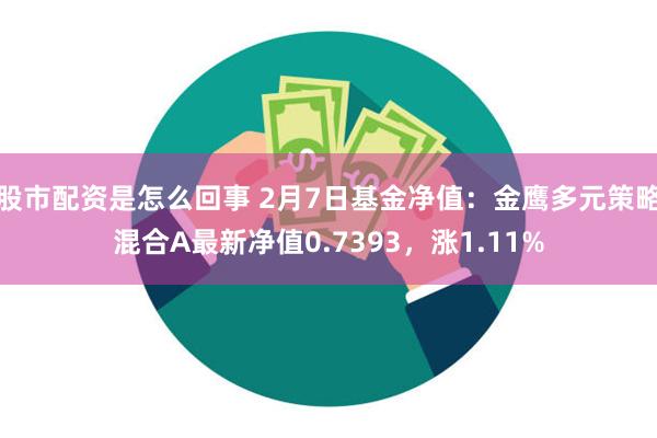 股市配资是怎么回事 2月7日基金净值：金鹰多元策略混合A最新净值0.7393，涨1.11%